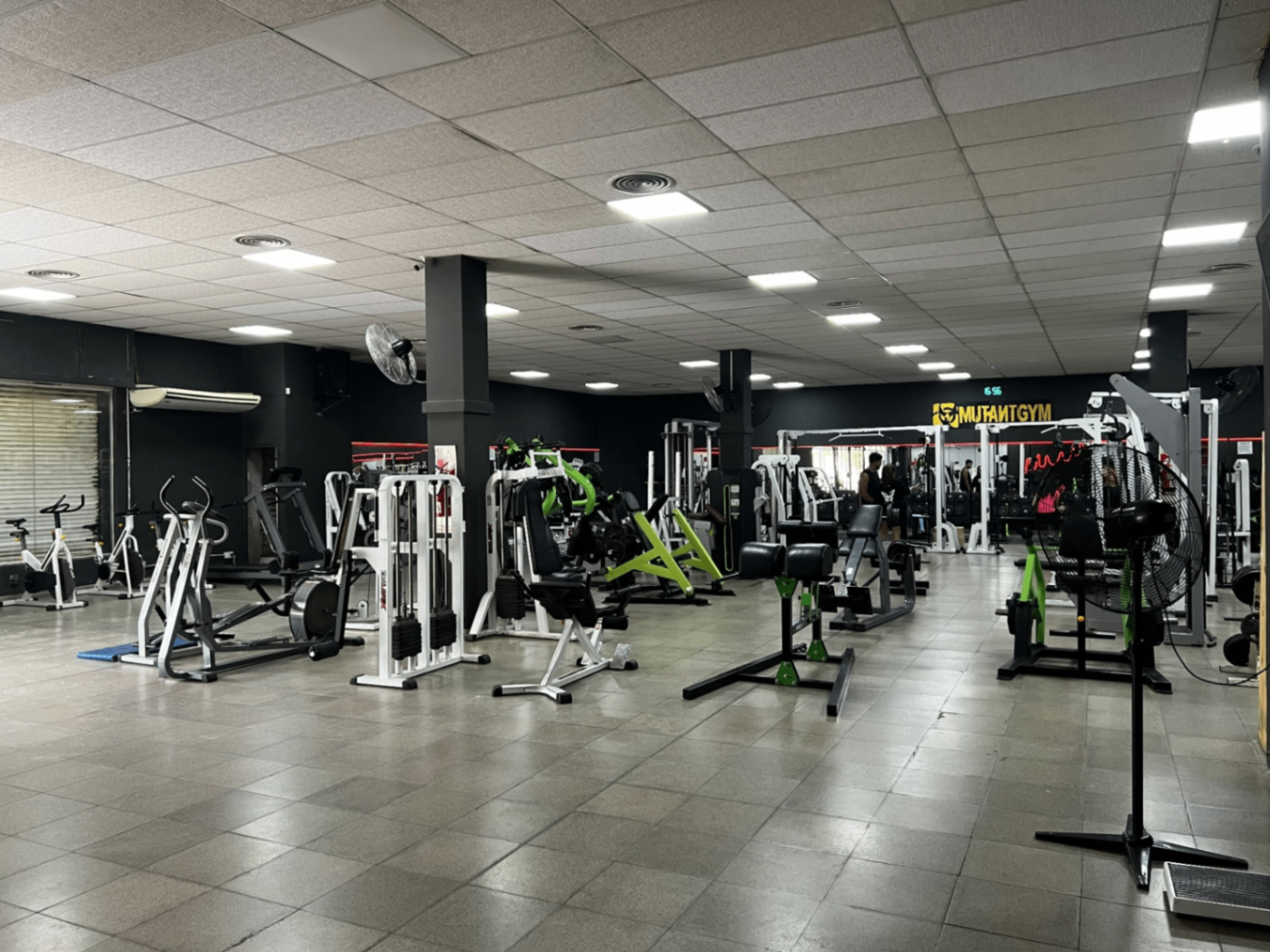 Vista amplia del salón principal de máquinas y racks en Mutant Gym