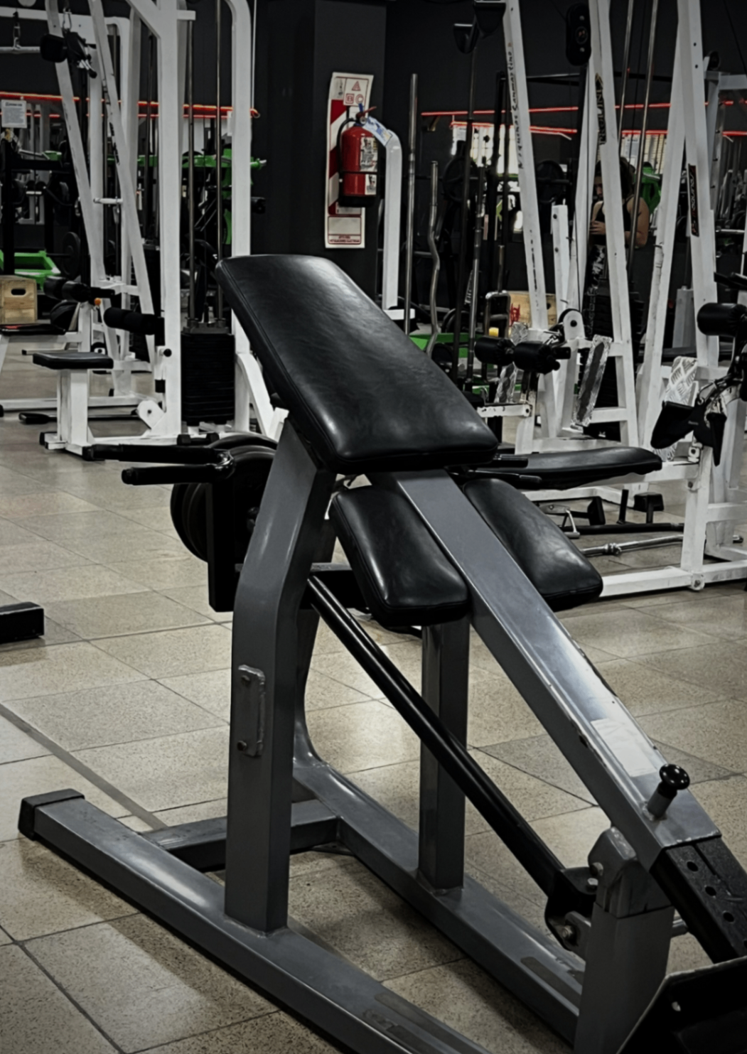 Banco Scott para curl de bíceps dentro de la zona de musculación del gimnasio
