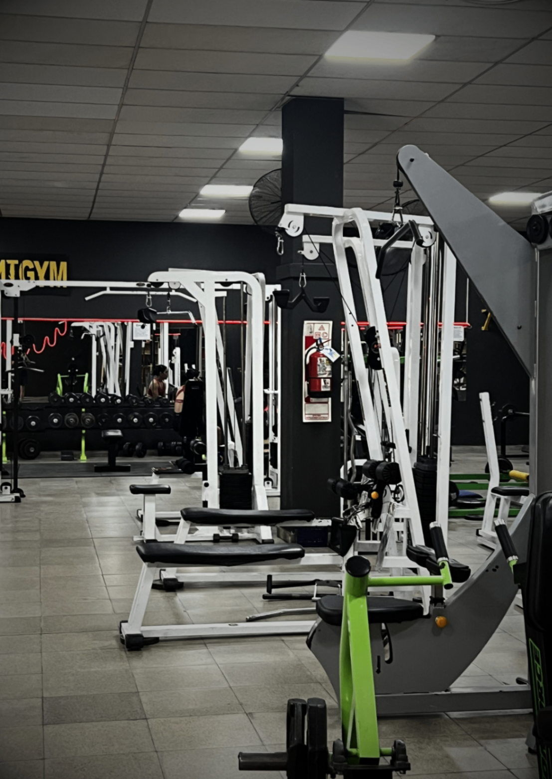 Zona de poleas y bancos de entrenamiento del gimnasio Mutant Gym