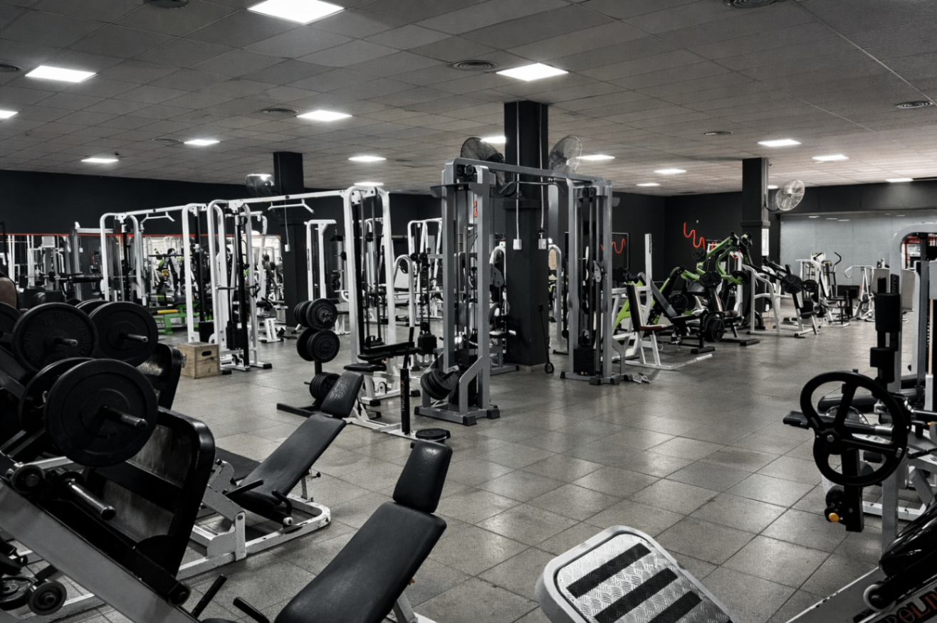 Rack de mancuernas metálicas en la zona de pesas del gimnasio